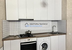 Просторная трехкомнатная квартира с прекрасным освещением в аренду на улице Амашукели